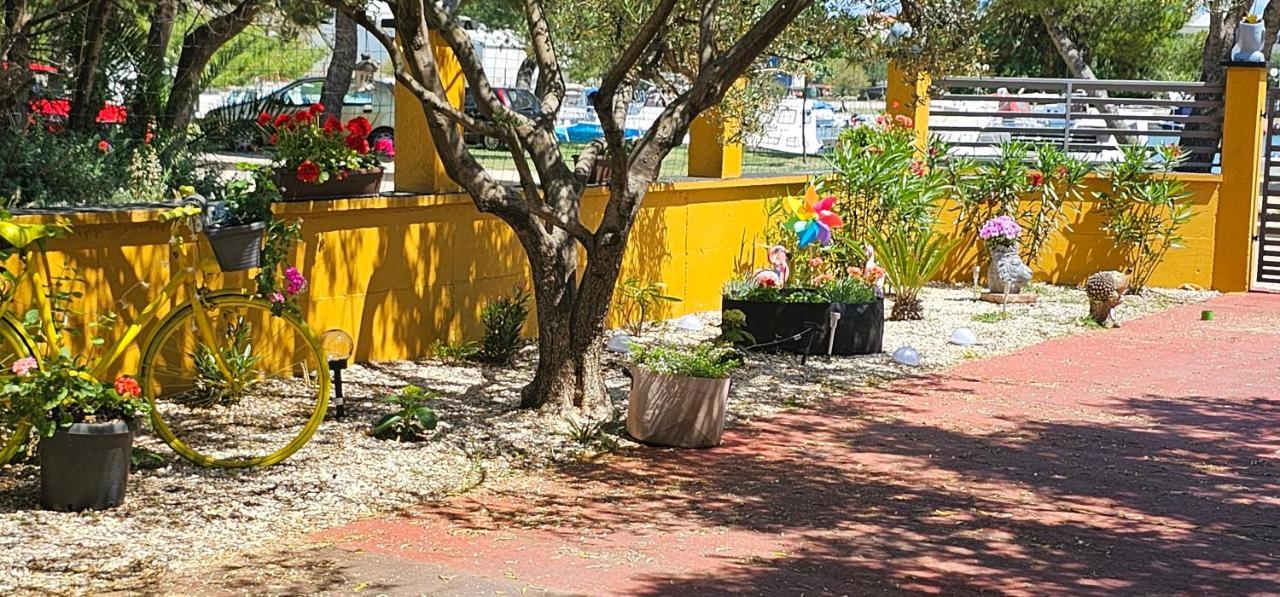 Apartments Las Cabezas زادار المظهر الخارجي الصورة