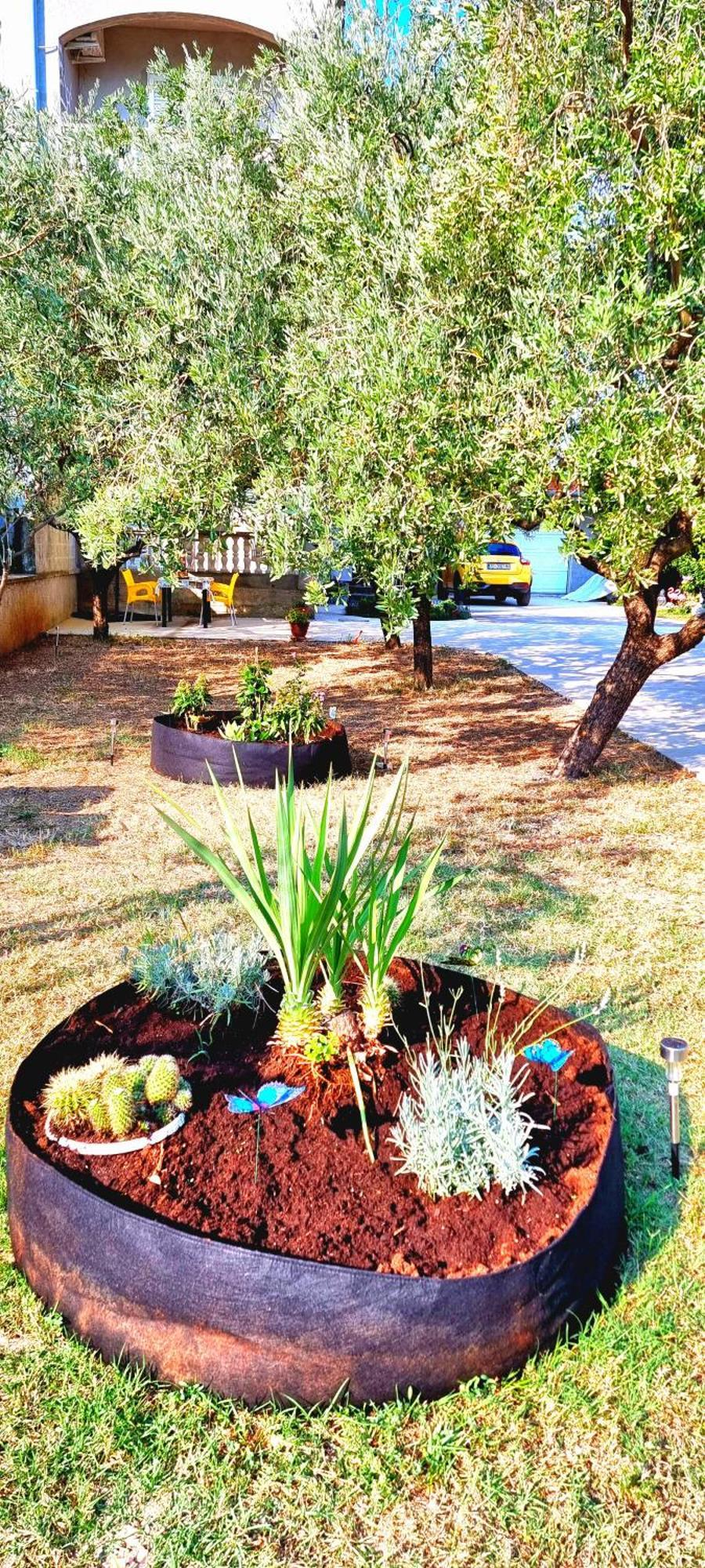 Apartments Las Cabezas زادار المظهر الخارجي الصورة